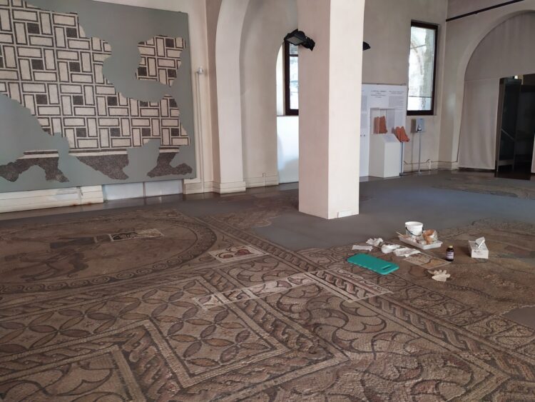 Al via il restauro del mosaico romano di piazza Biade conservato al Museo Naturalistico Archeologico.