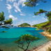 L’isola d’Elba in una Rivista